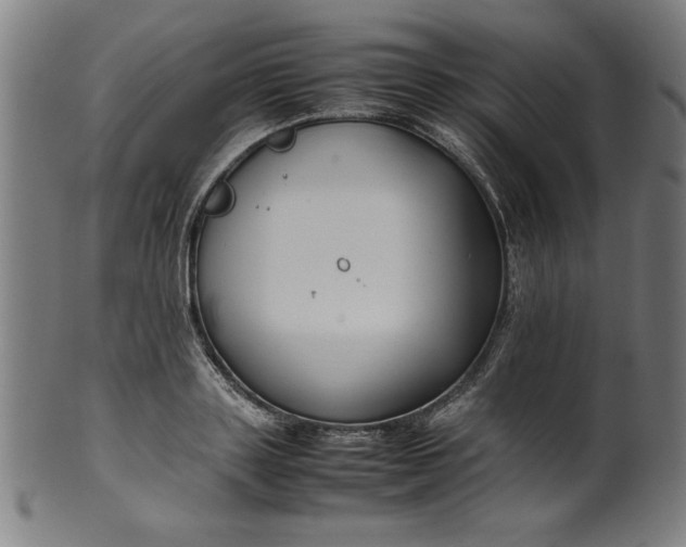 X0000099940843200806061516