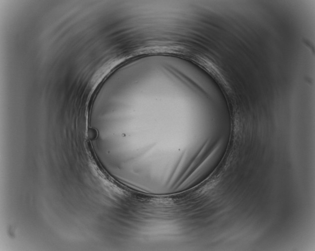 X0000099940844200806061516