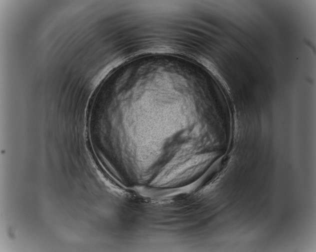 X0000099940845200806061516