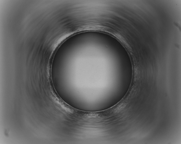 X0000099940846200806061516