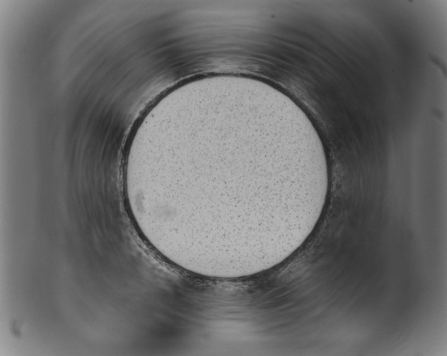 X0000099940848200806061516