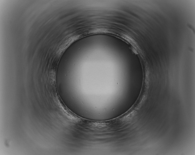 X0000099940849200806061516