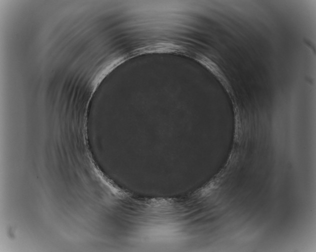 X0000099940850200806061516