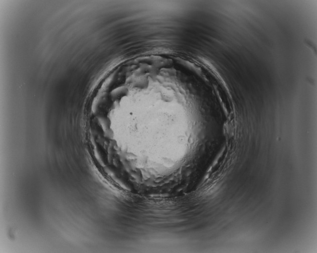 X0000099940851200806061516