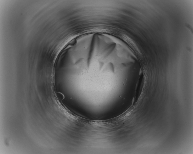 X0000099940852200806061516