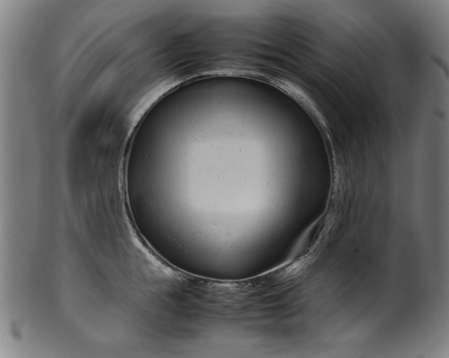 X0000099940855200806061516