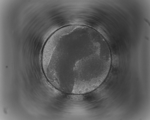 X0000099940856200806061516
