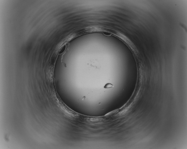 X0000099940857200806061516