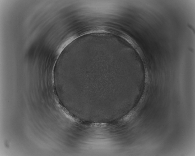 X0000099940858200806061516