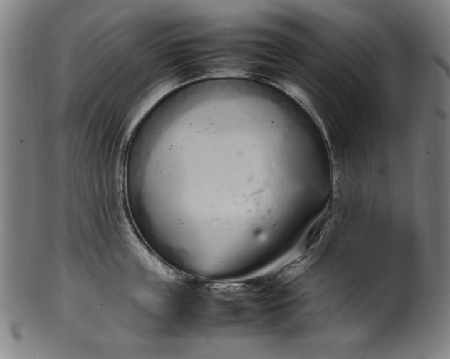 X0000099940859200806061516