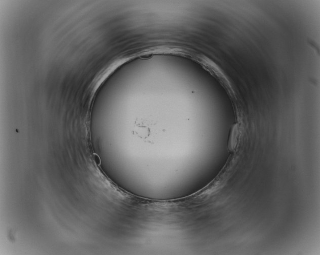 X0000099940860200806061516