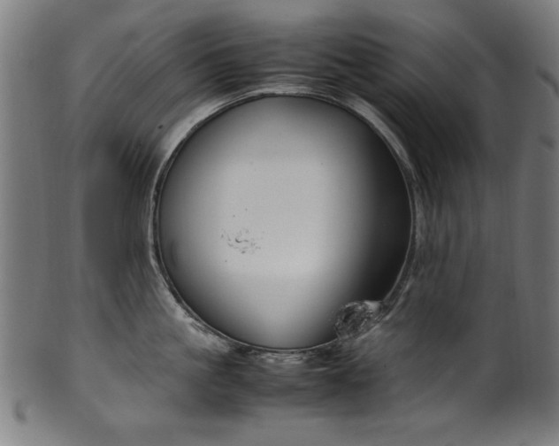 X0000099940861200806061516