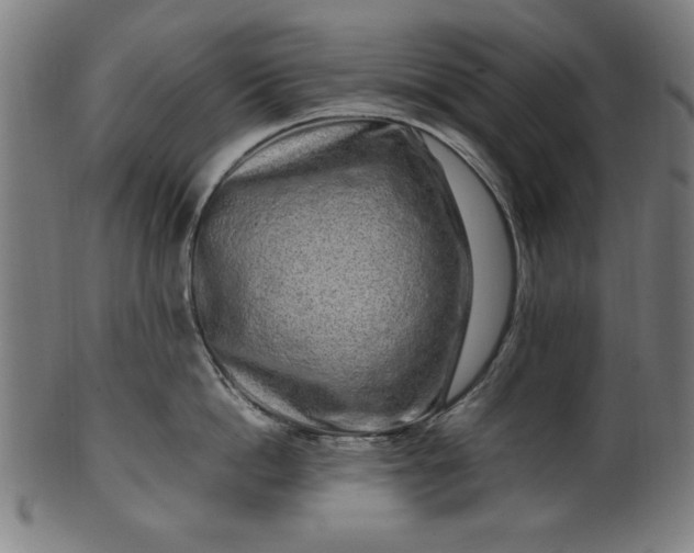 X0000099940862200806061516