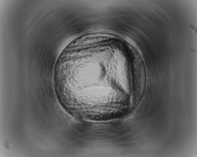 X0000099940863200806061516