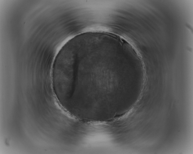 X0000099940864200806061516