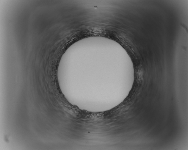X0000099940865200806061516
