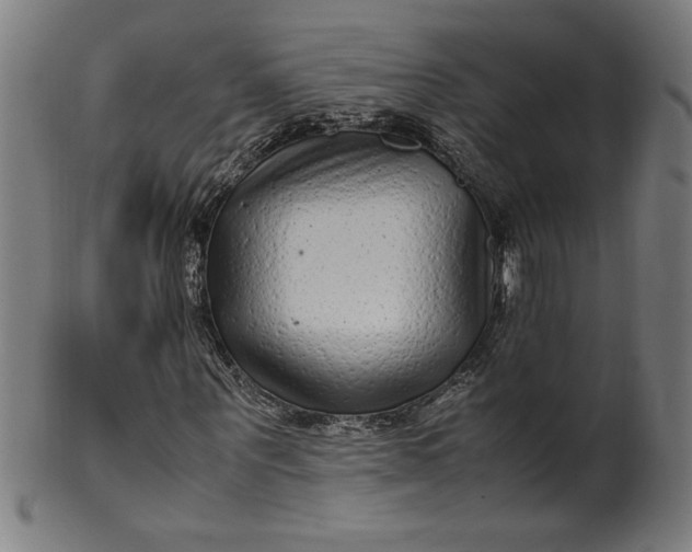 X0000099940867200806061516