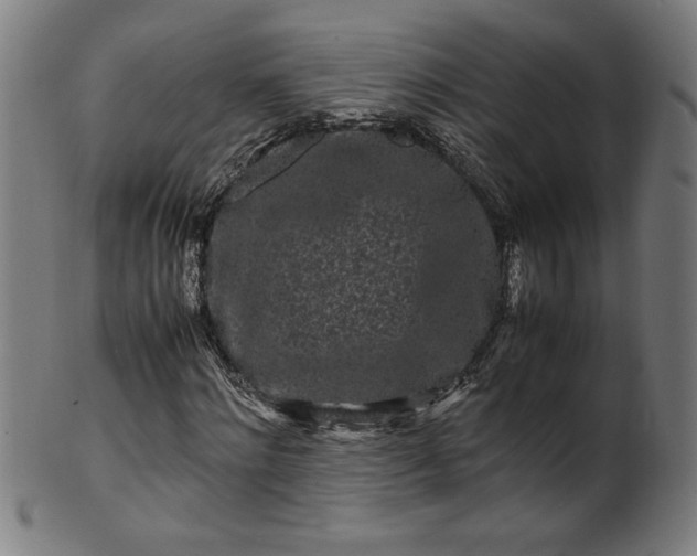 X0000099940868200806061516