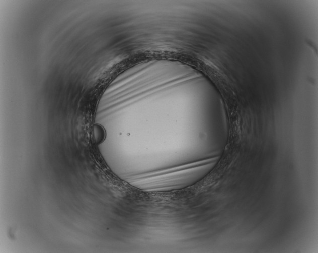 X0000099940870200806061516