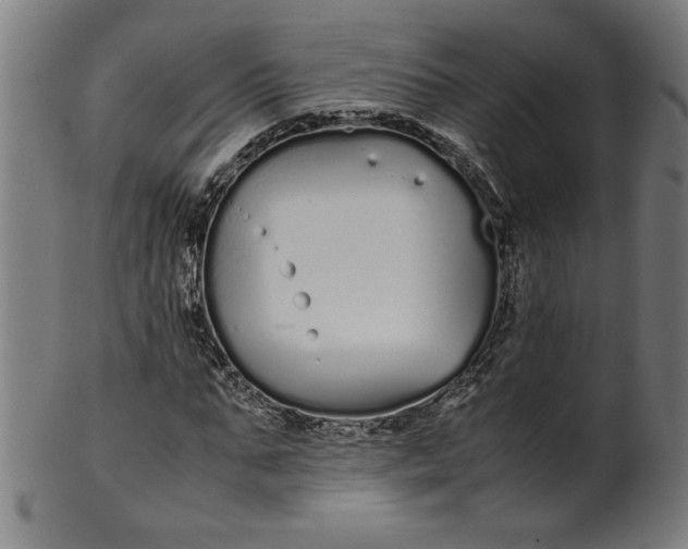 X0000099940871200806061516