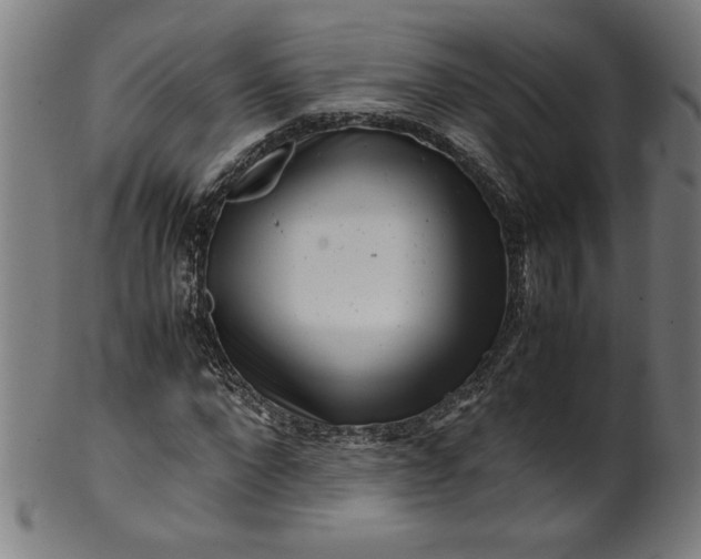 X0000099940872200806061516