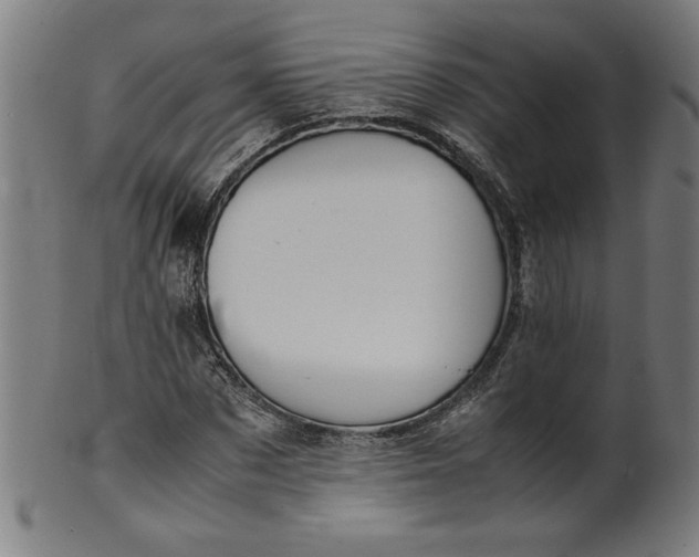 X0000099940873200806061516