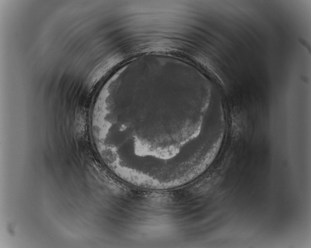 X0000099940874200806061516