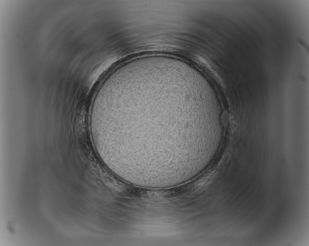 X0000099940875200806061516