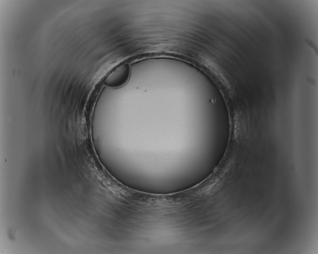 X0000099940876200806061516