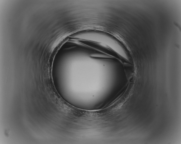 X0000099940877200806061516