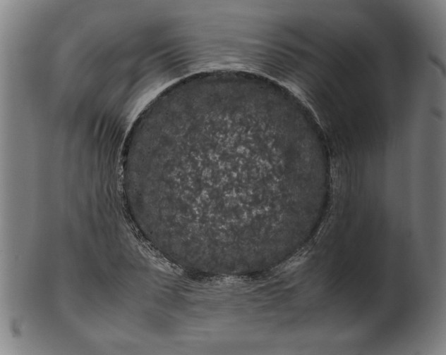 X0000099940879200806061515