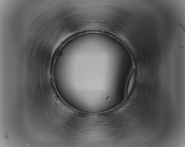 X0000099940880200806061515