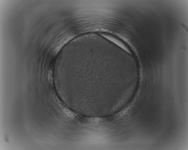 X0000099940881200806061515
