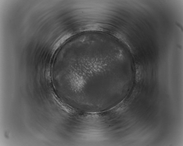 X0000099940882200806061515