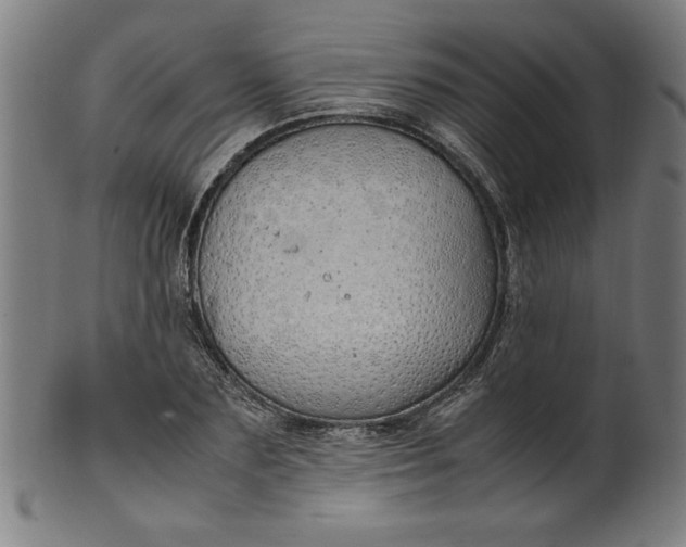 X0000099940883200806061515