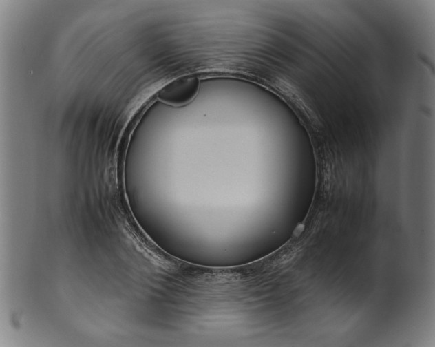 X0000099940884200806061515