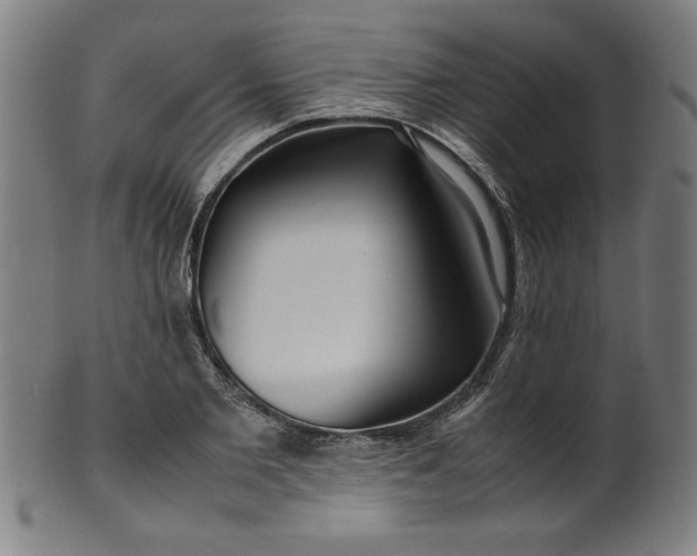 X0000099940885200806061515