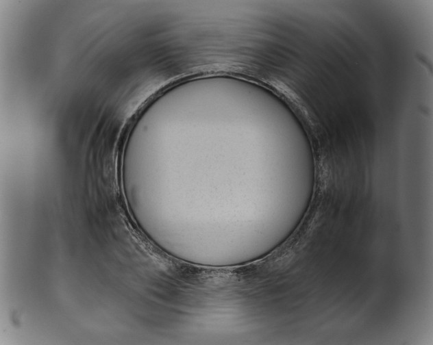 X0000099940886200806061515
