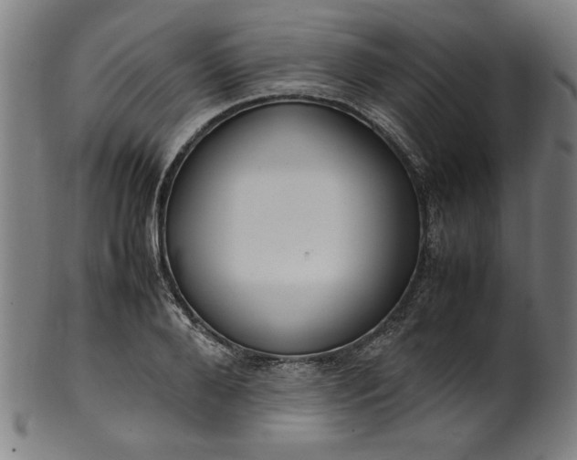 X0000099940888200806061515