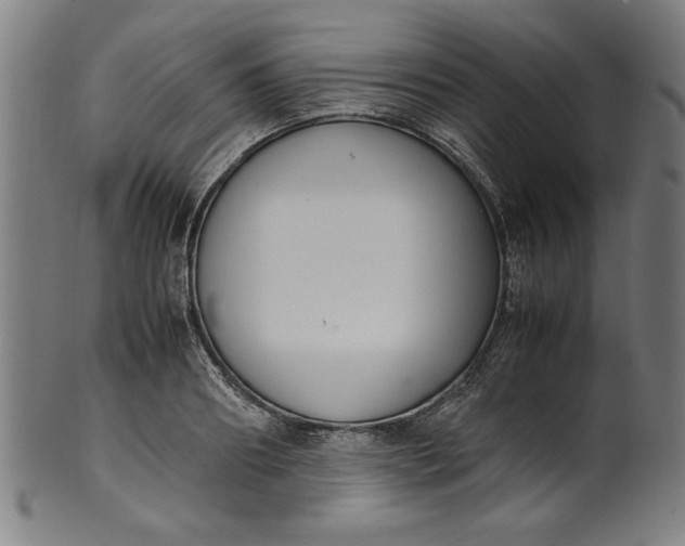 X0000099940890200806061515