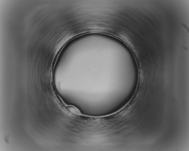 X0000099940891200806061515