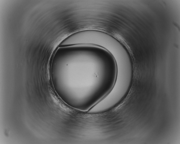 X0000099940892200806061515