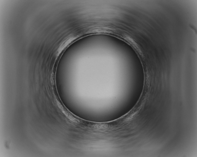 X0000099940893200806061515