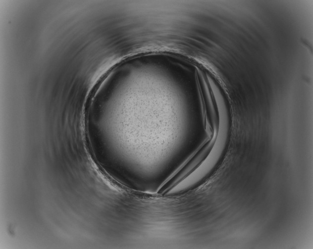 X0000099940894200806061515
