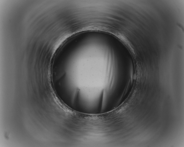 X0000099940896200806061515