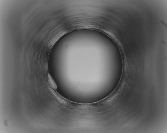 X0000099940897200806061515