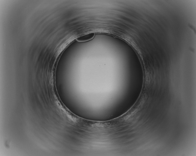 X0000099940898200806061515