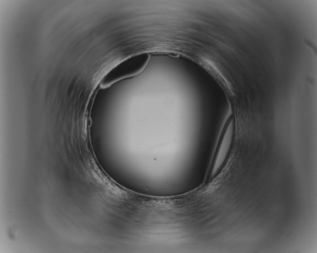 X0000099940900200806061515