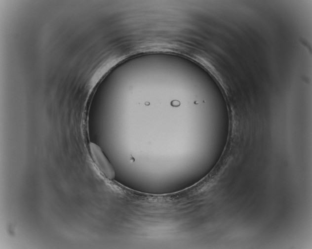 X0000099940901200806061515