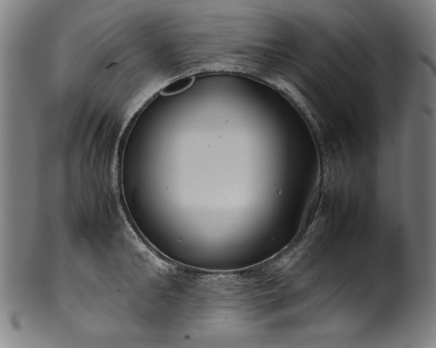 X0000099940902200806061515